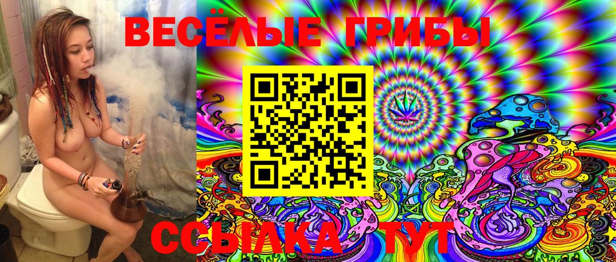 Псилоцибиновые грибы GOLDEN TEACHER Геленджик